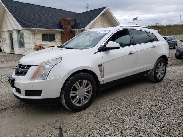 2012 CADILLAC SRX LUXURY COLLECTION 2012 image