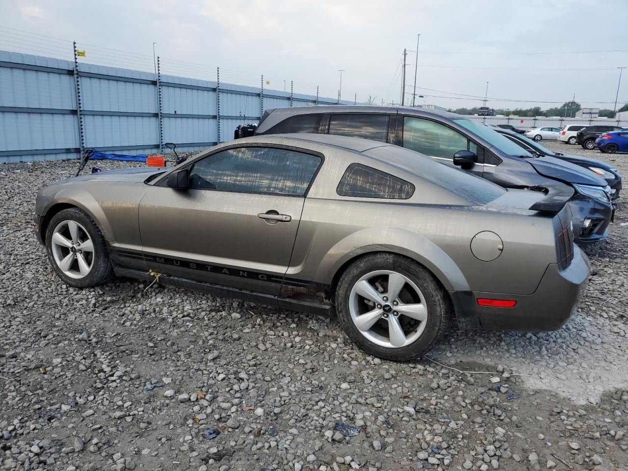 Obraz 2 z 2005 FORD MUSTANG  2005 z VIN 1ZVFT80N955149509