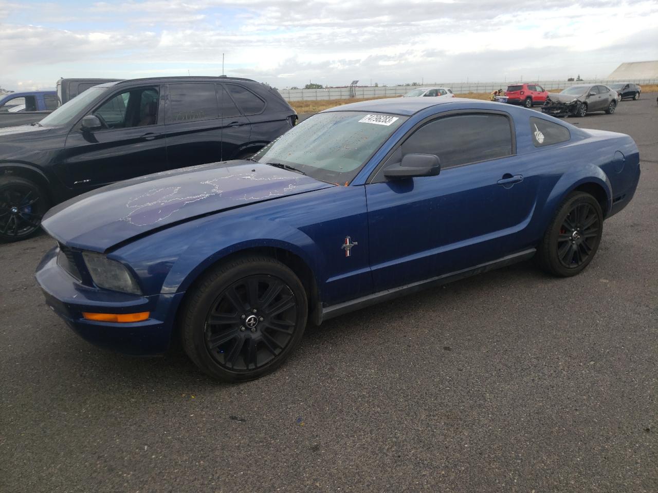 Image 1 of 2007 FORD MUSTANG  2007 with VIN 1ZVFT80N975284850