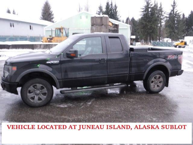 Image 1 of 2013 FORD F150 SUPER CAB 2013 with VIN 1FTFX1EF3DKE47621