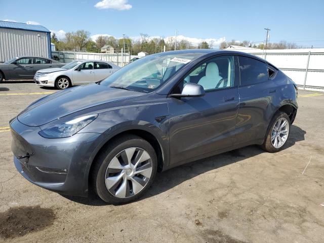 2023 TESLA MODEL Y  2023 image