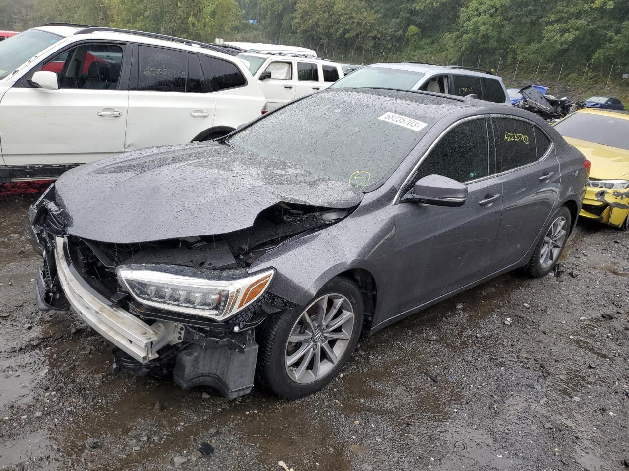 Изображение 2018 ACURA TLX TECH 2018