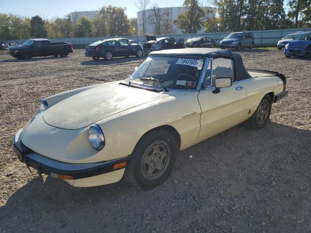 1984 ALFA ROMEO VELOCE 2000 SPIDER 1984 image