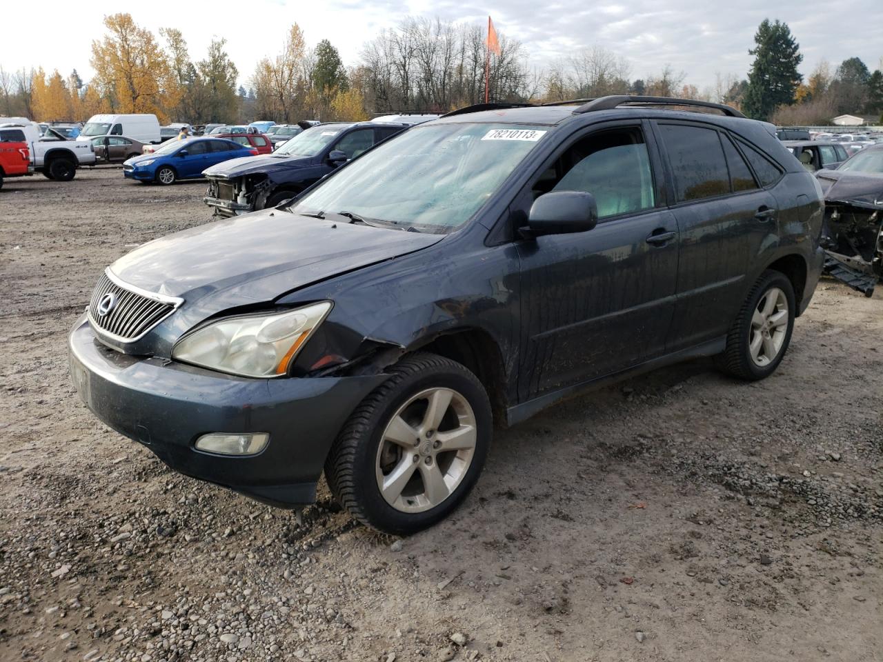 2004 LEXUS RX 330 2004 image