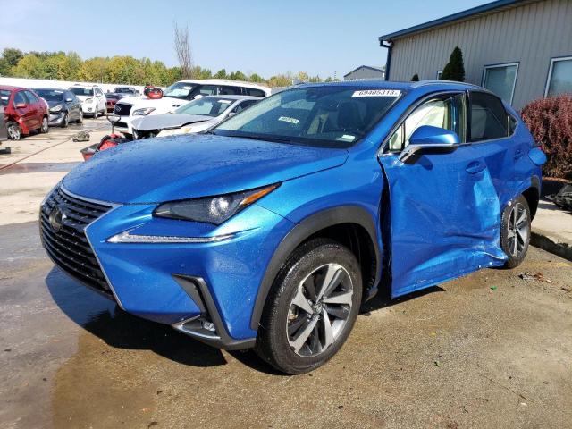 Obraz 2020 LEXUS NX 300 2020
