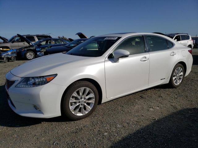 Изображение 2013 LEXUS ES 300H 2013