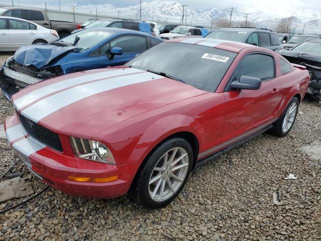 Image 1 of 2007 FORD MUSTANG  2007 with VIN 1ZVFT80N575353940