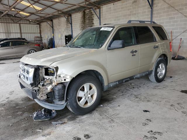 Image 1 of 2012 FORD ESCAPE XLT 2012 with VIN 1FMCU0D70CKB82067