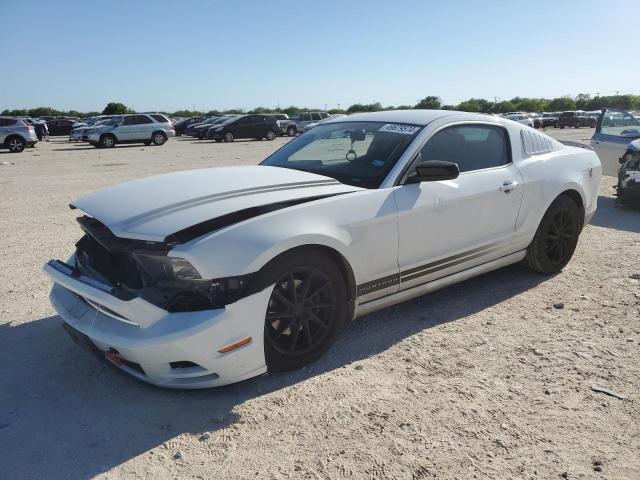 2014 FORD MUSTANG  2014 image