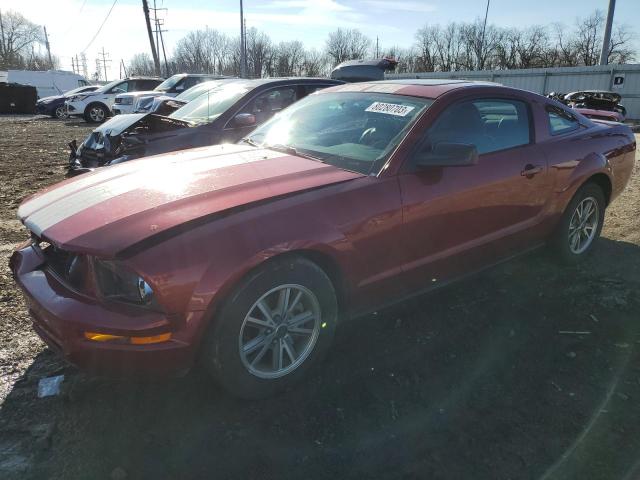 Obraz 1 z 2005 FORD MUSTANG  2005 z VIN 1ZVFT80N155240290