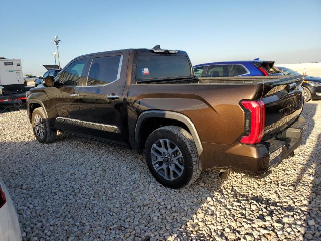 Image 2 of 2022 TOYOTA TUNDRA CREWMAX PLATINUM 2022 with VIN 5TFMA5DB4NX022637