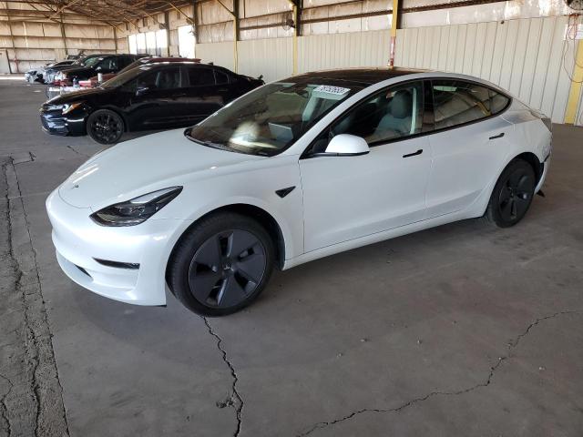 2023 TESLA MODEL 3  2023 image