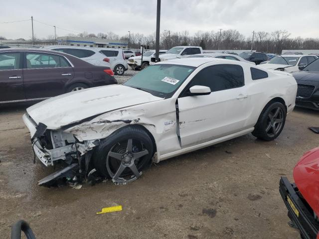Obraz 1 z 2013 FORD MUSTANG GT 2013 z VIN 1ZVBP8CF6D5281729