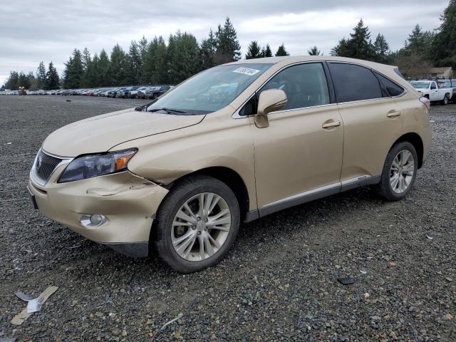Изображение 2010 LEXUS RX 450 2010