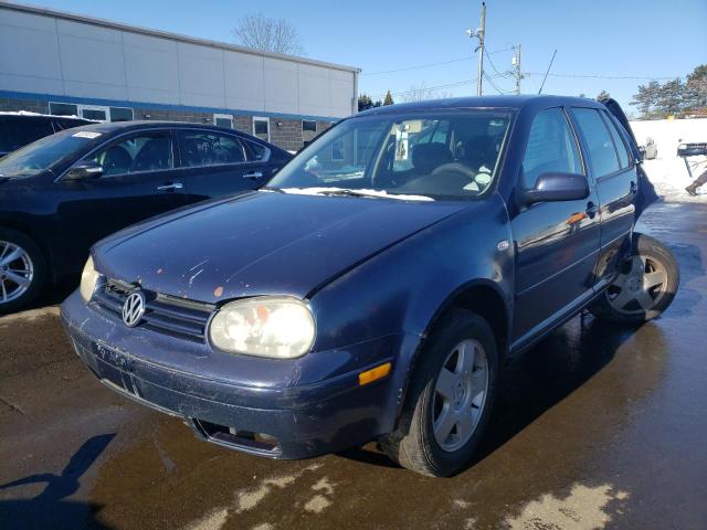 2002 VOLKSWAGEN GOLF GLS 2002 image