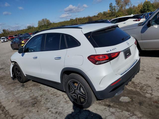 Image 2 of 2022 MERCEDES-BENZ GLA 250 4MATIC 2022 with VIN W1N4N4HB2NJ346366