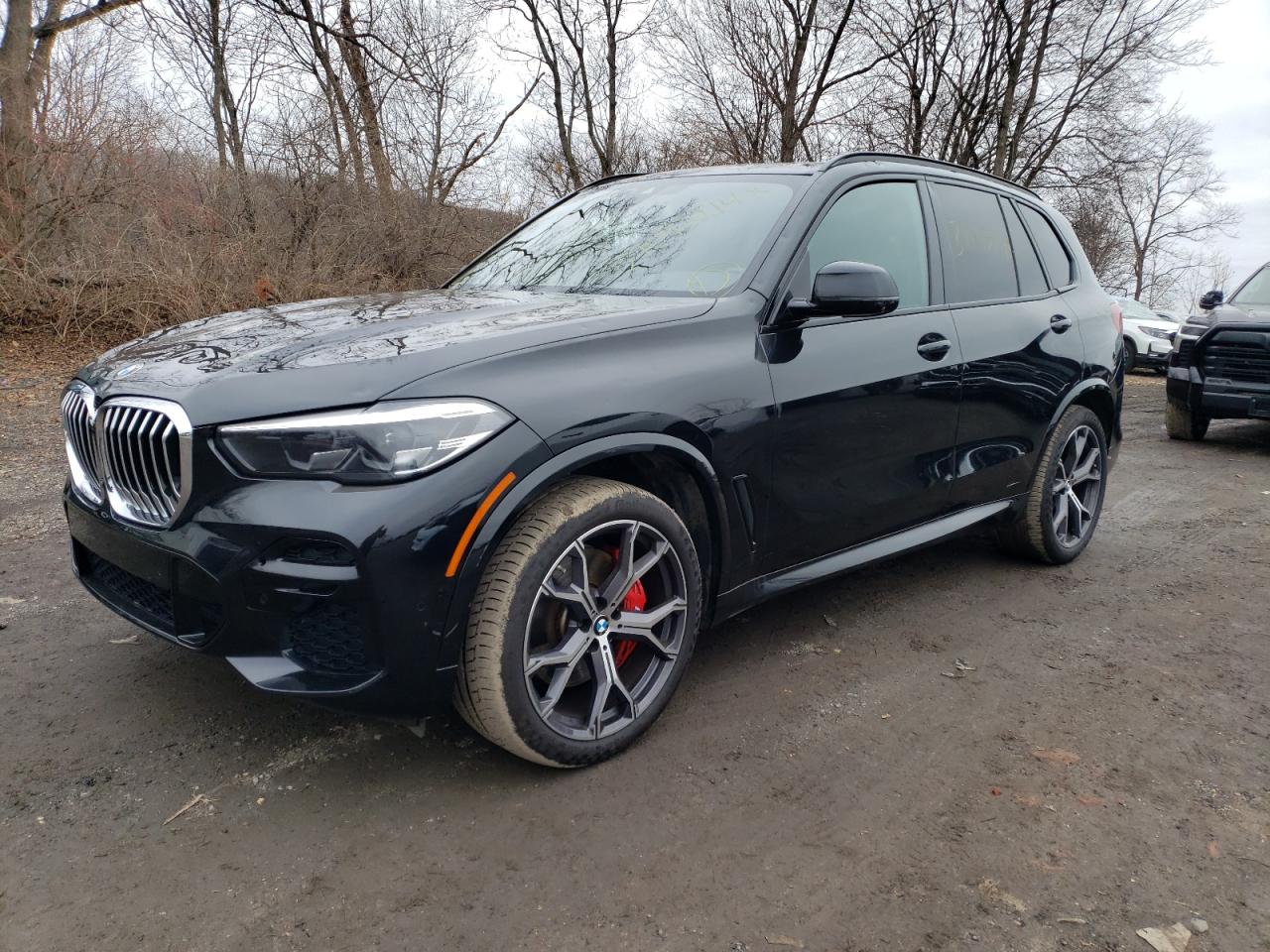 2022 BMW X5 SDRIVE 40I 2022 image