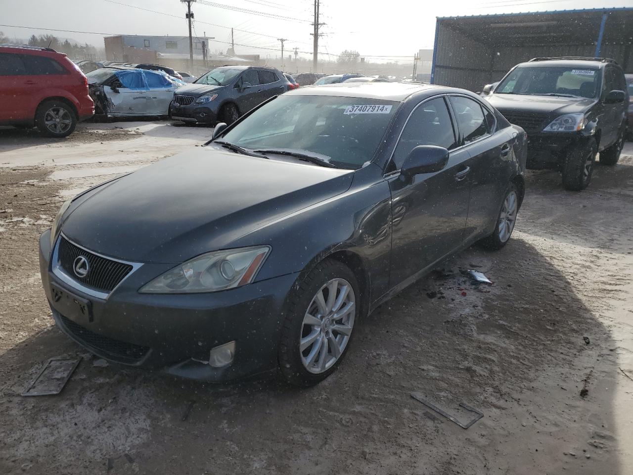 2007 LEXUS IS 250 2007 image