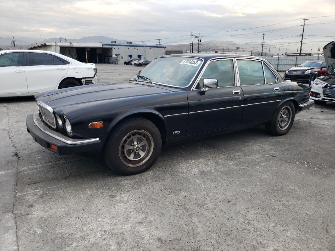 1981 JAGUAR XJ6  1981 image