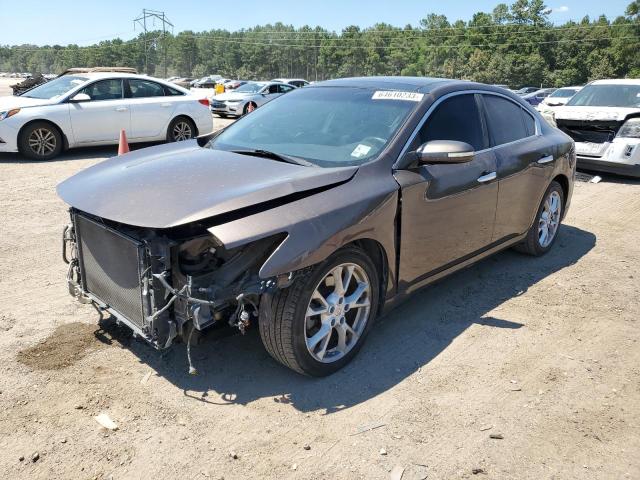 2013 NISSAN MAXIMA S 2013 image