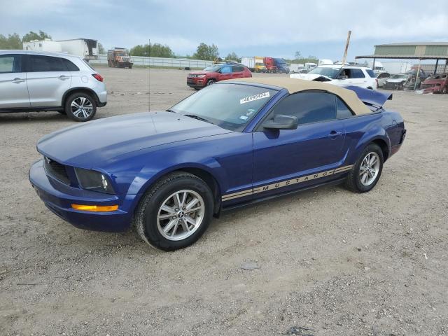2005 FORD MUSTANG  2005 image