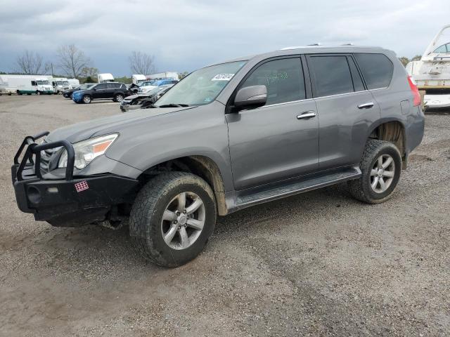 2010 LEXUS GX 460 2010 image