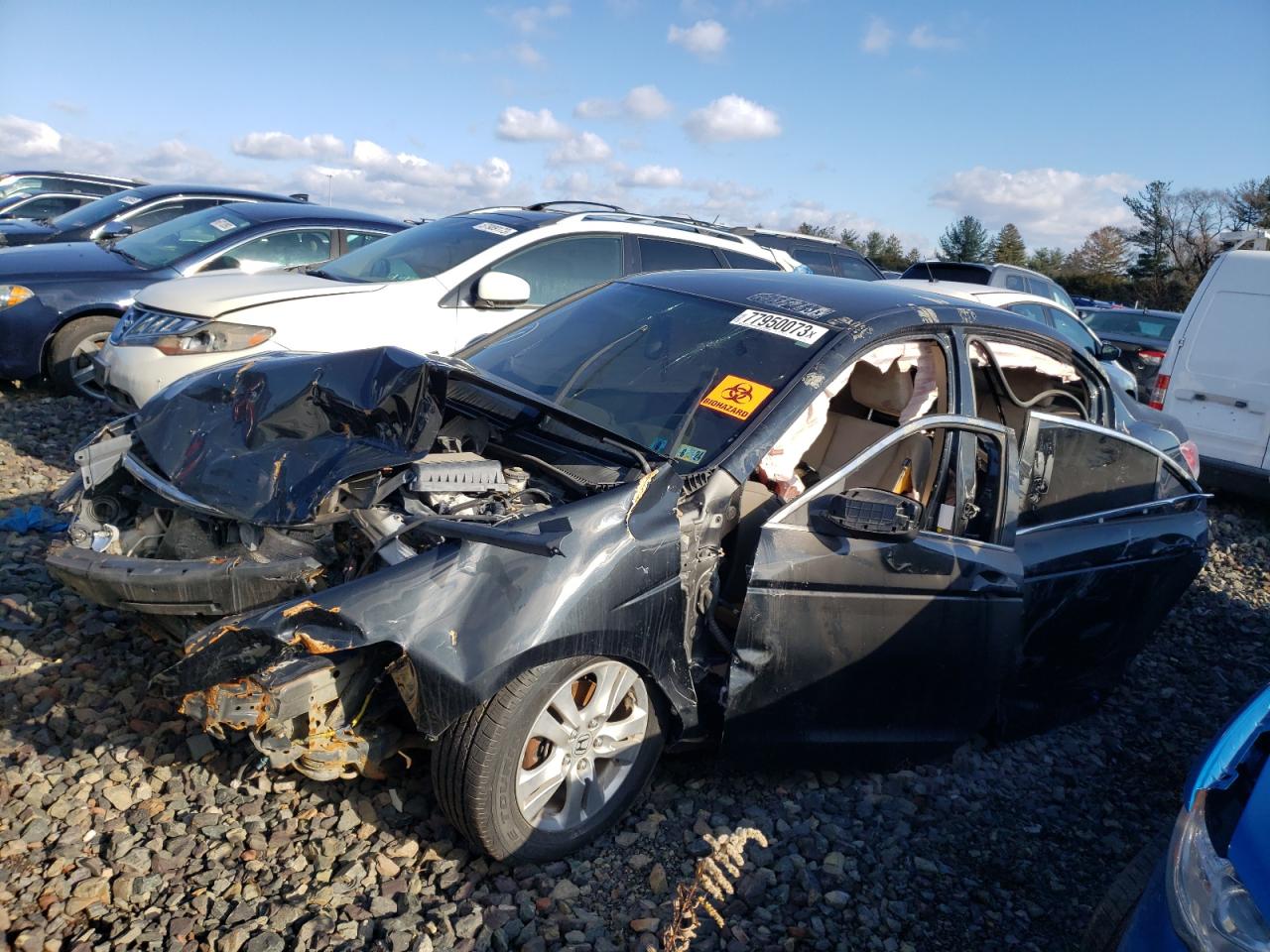 Изображение 1 2010 HONDA ACCORD LXP 2010 с VIN 1HGCP2F45AA151959