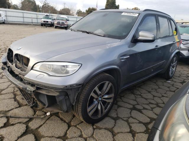Obraz 2013 BMW X5 M 2013