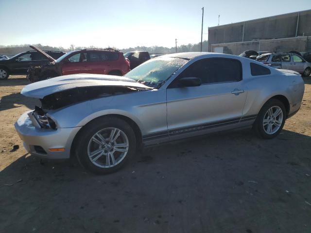 2010 FORD MUSTANG  2010 image