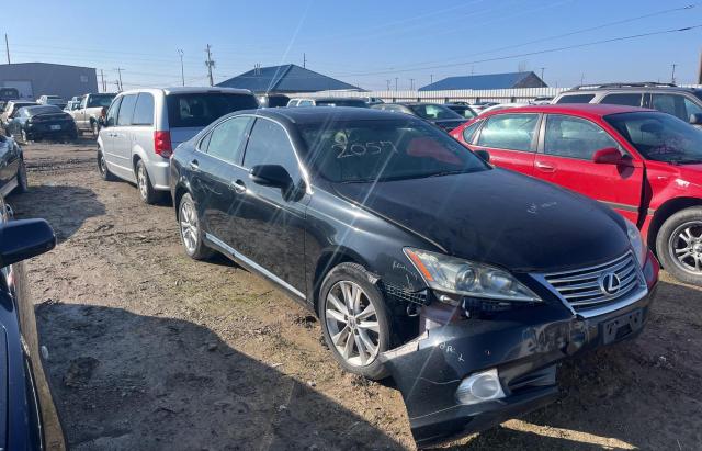 Изображение 2011 LEXUS ES 350 2011