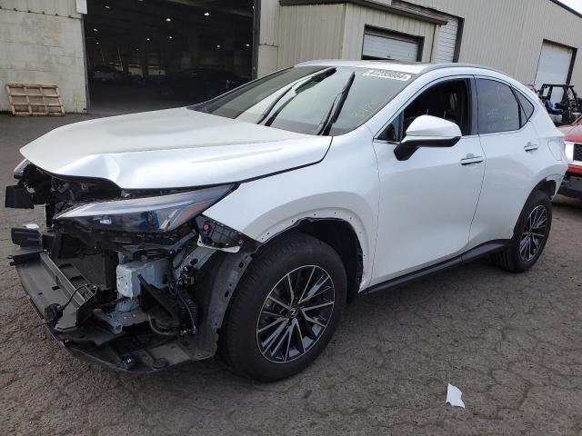 2023 LEXUS NX 350H 2023 image