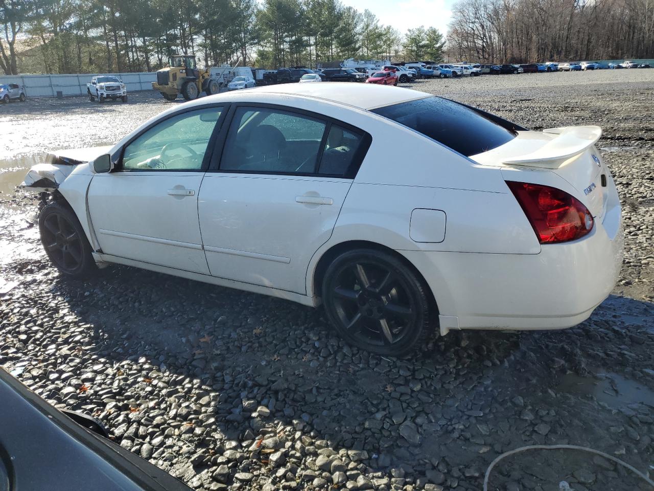 Obraz 2 z 2004 NISSAN MAXIMA SE 2004 z VIN 1N4BA41E44C903138