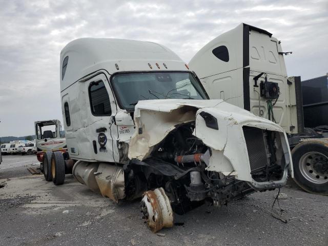 2023 FREIGHTLINER CASCADIA 126  2023 image