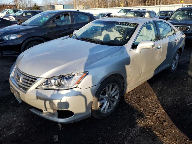 Изображение 2010 LEXUS ES 350 2010