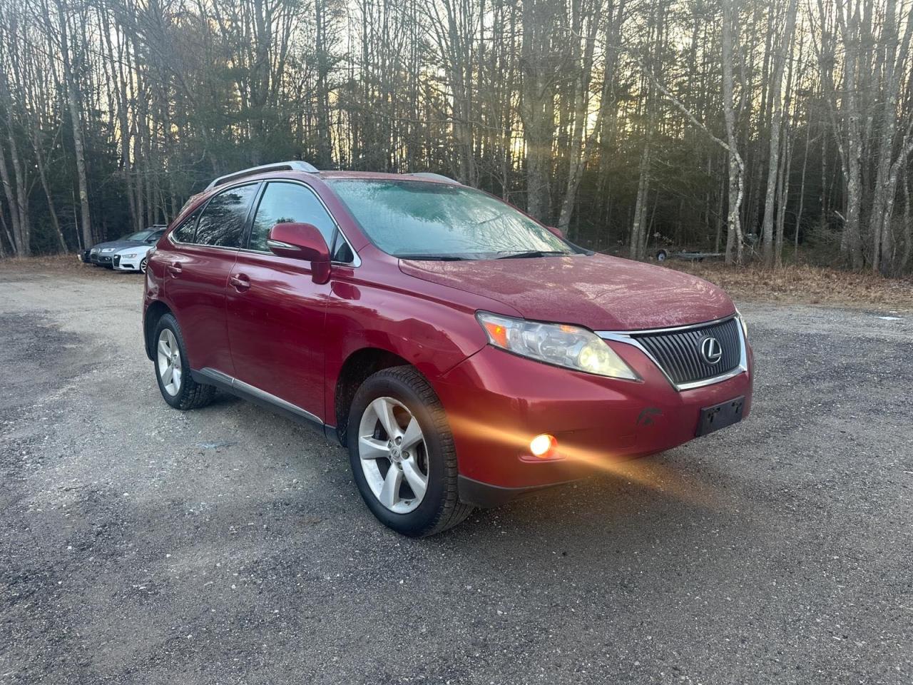 Изображение 2010 LEXUS RX 350 2010