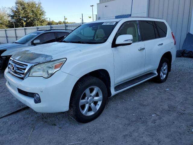 2010 LEXUS GX 460 2010 image
