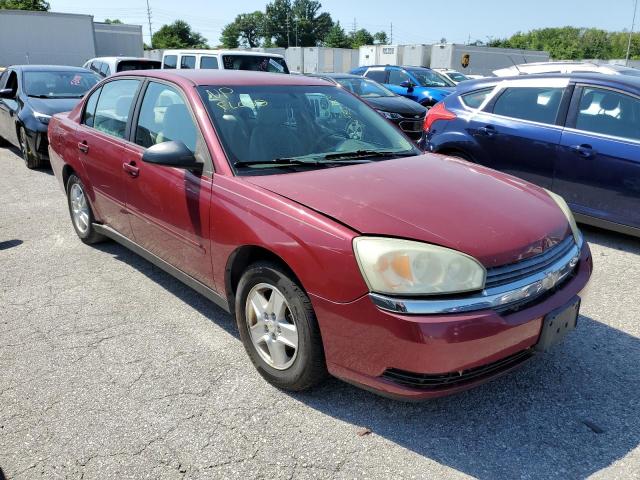 Изображение 1 2005 CHEVROLET MALIBU LS 2005 с VIN 1G1ZT52835F127059