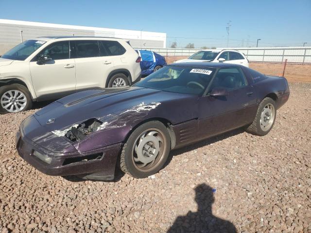 Obraz 1992 CHEVROLET CORVETTE  1992