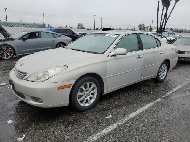 2002 LEXUS ES 300 2002 image