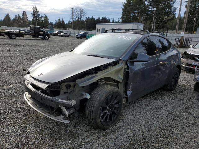 2023 TESLA MODEL Y  2023 image