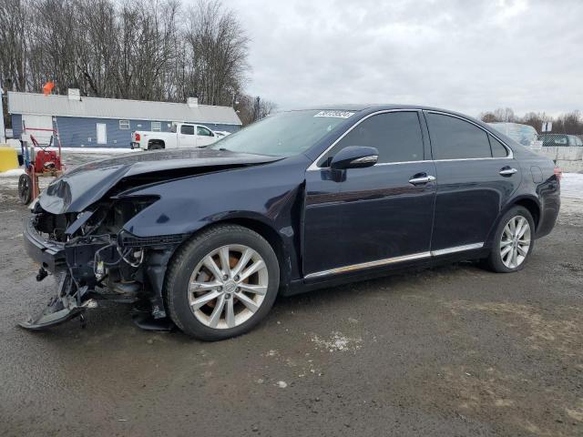 Obraz 2010 LEXUS ES 350 2010