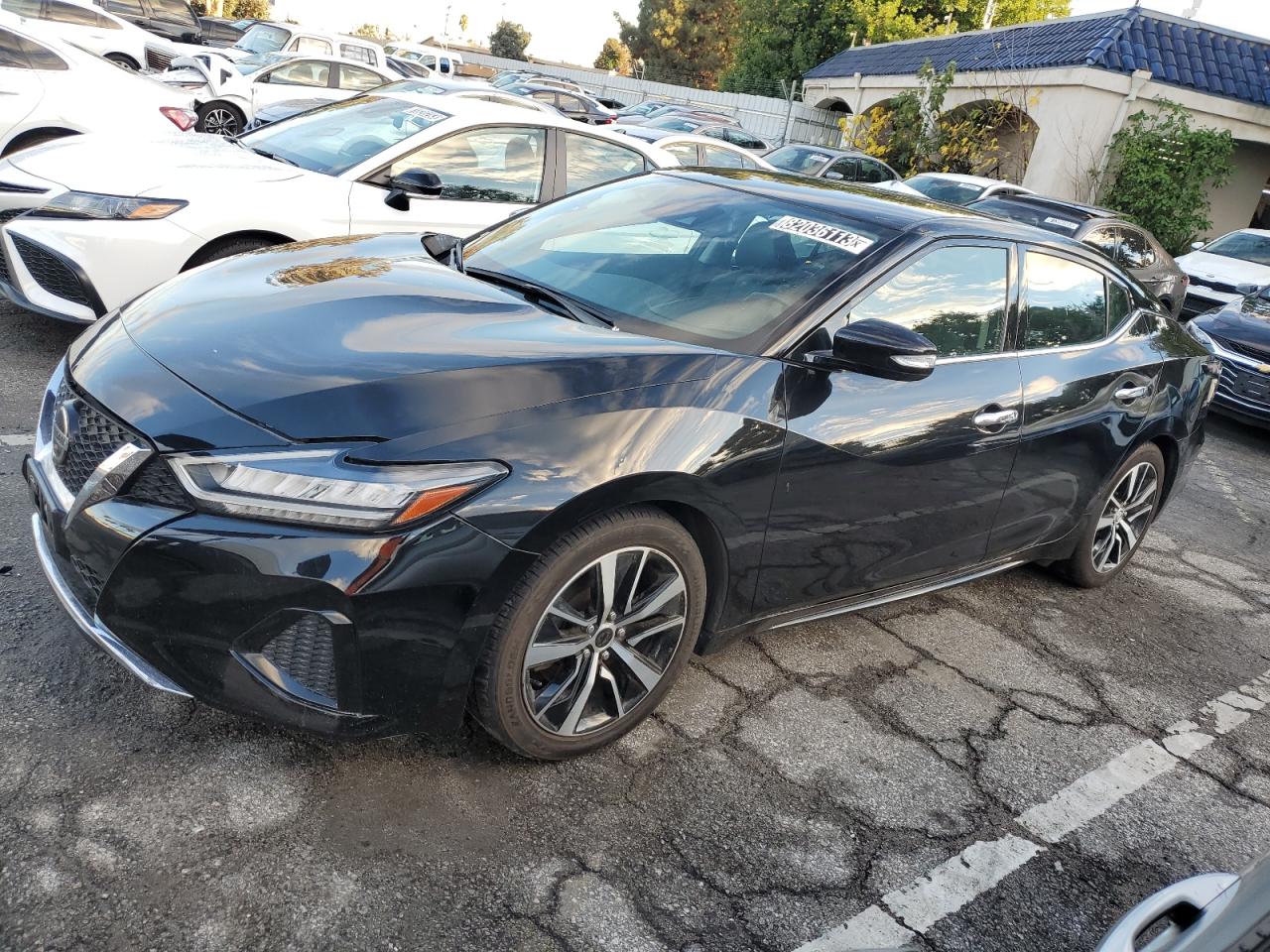 2022 NISSAN MAXIMA SV 2022 image