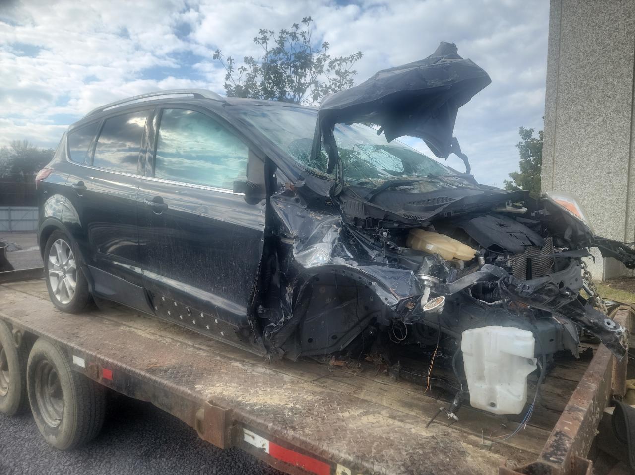 Obraz 2014 FORD ESCAPE TITANIUM 2014