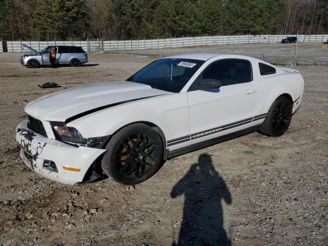 Image 1 of 2012 FORD MUSTANG  2012 with VIN 1ZVBP8AM9C5264309