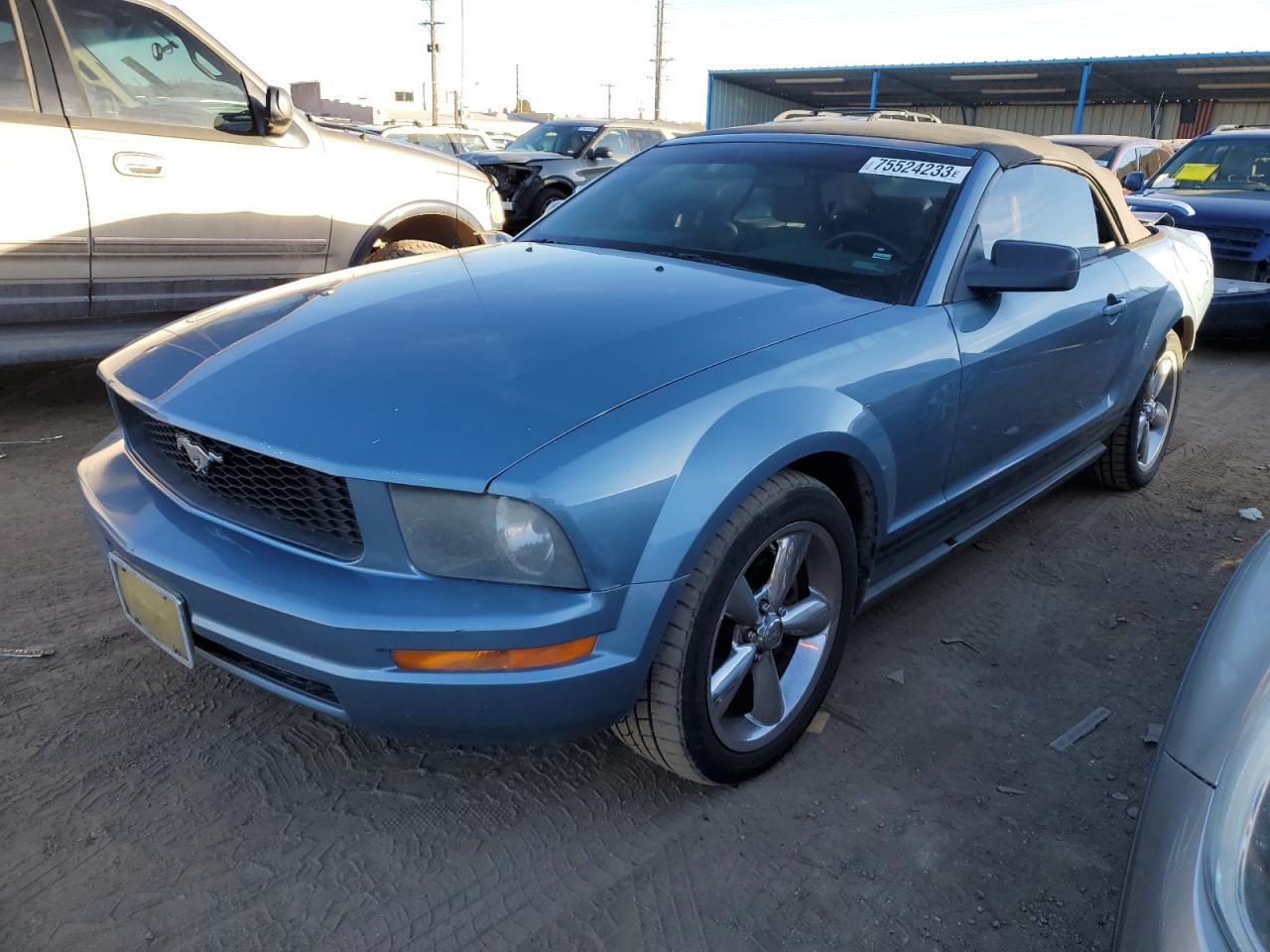 2005 FORD MUSTANG  2005 image