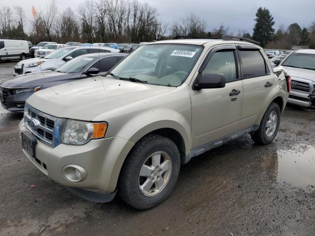 Image 1 of 2012 FORD ESCAPE XLT 2012 with VIN 1FMCU9DG2CKA65255