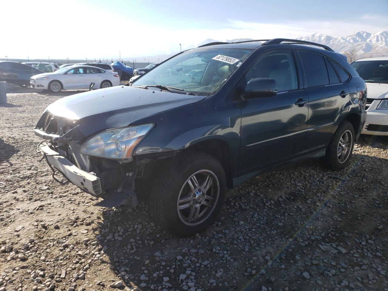 Obraz 2006 LEXUS RX 330 2006