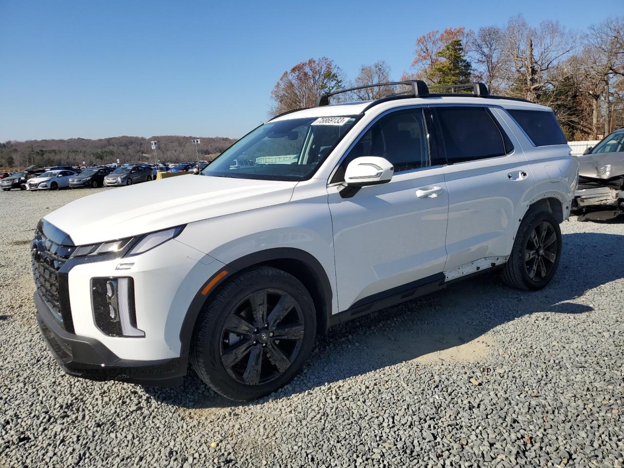 2023 HYUNDAI PALISADE XRT 2023 image