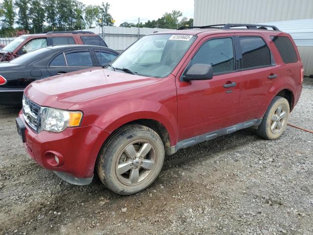 Изображение 2011 FORD ESCAPE XLT 2011