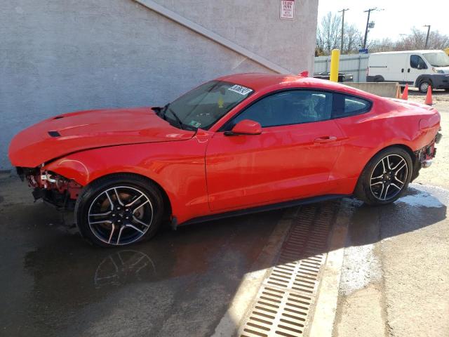 2023 FORD MUSTANG  2023 image